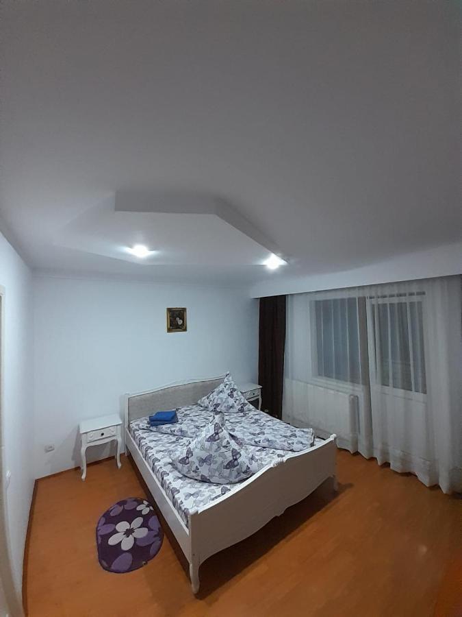 Casa Dany Hotel Vatra Dornei Exterior photo